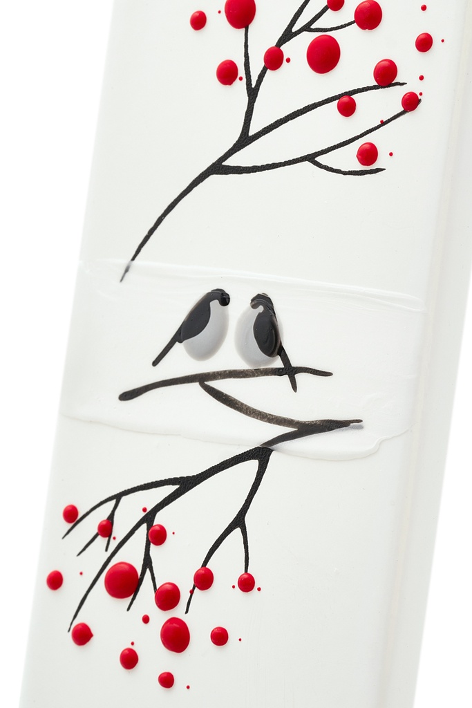 Winter birds on white